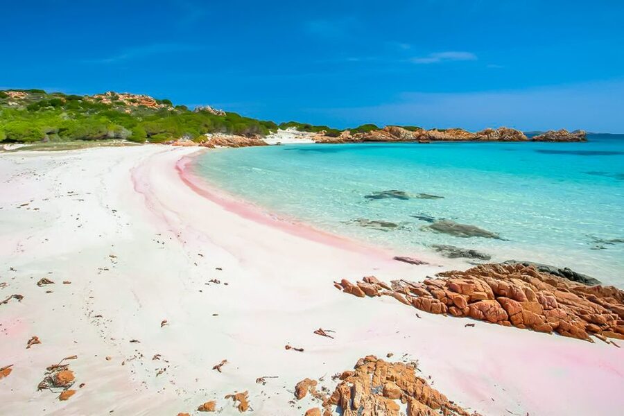 Sardinia: La Maddalena Archipelago Full-Day Trip by Boat - A full day among Sardinia’s island jewels