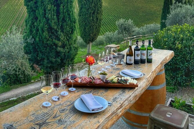 Semi Private Deep Wine Chianti and San Gimignano from Florence - San Gimignano: towers, shops, and a fast gelato break