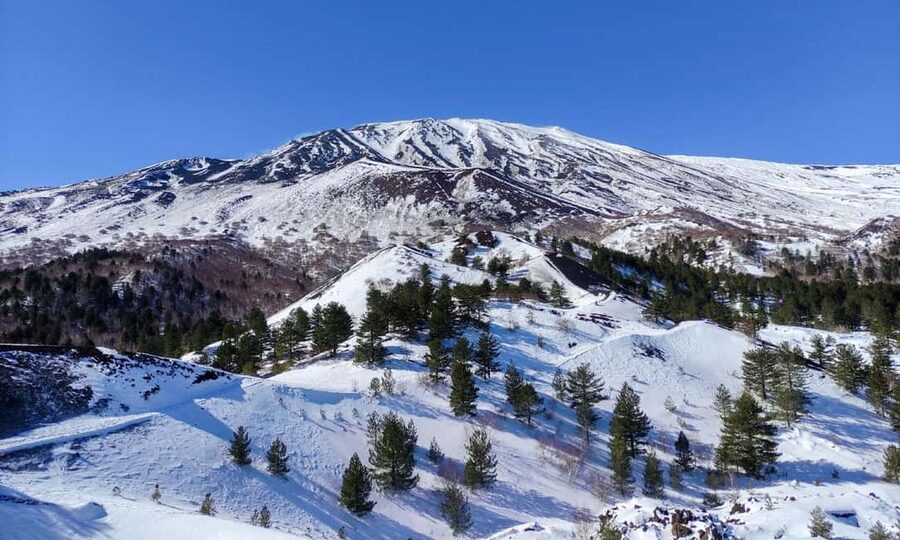 Sicily: Etna and Alcantara Gorges Full-Day Tour with Lunch - The 2002 eruption front and Ragabo Forest