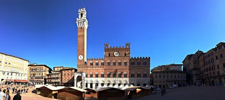 Siena: 3h Private City Walking Tour with Optional Cathedral - Accessibility, clothing, and booking details
