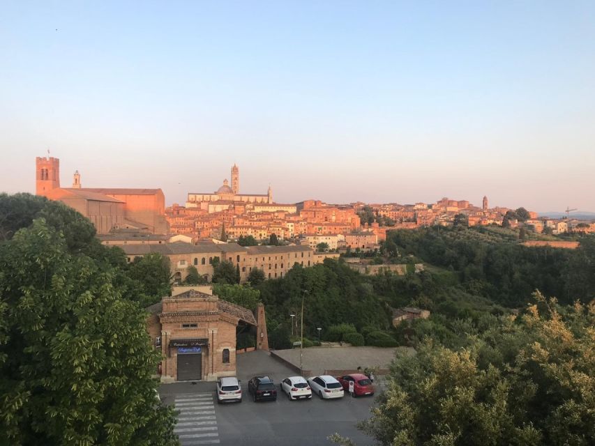 Siena: 3h Private City Walking Tour with Optional Cathedral - Price, private value, and group fit