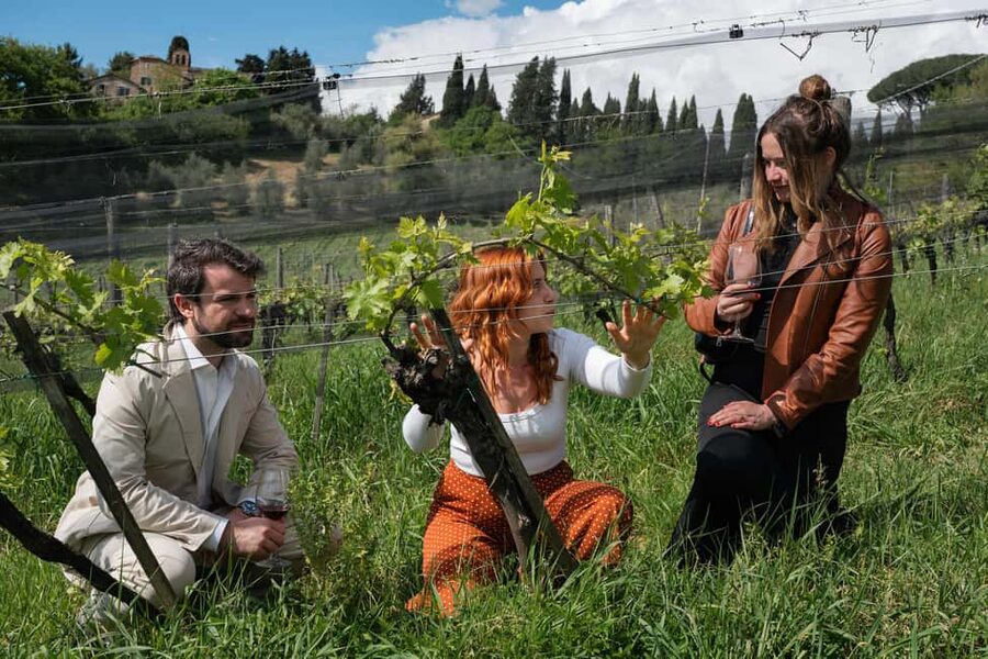 Siena: Educational Wine Tour & Tasting - Why La Lastra Makes a Good Siena Wine Stop