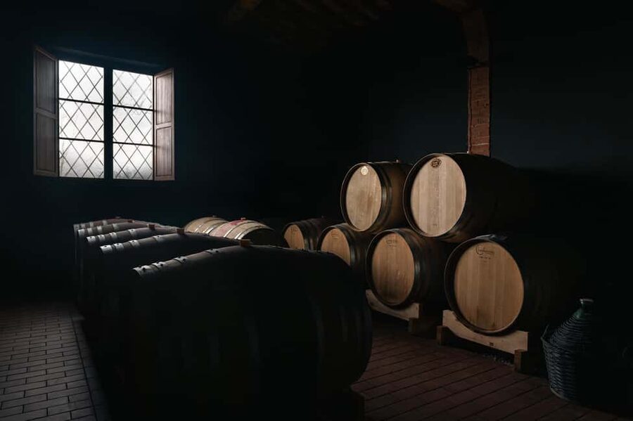 Siena: Educational Wine Tour & Tasting - Price, Transport, and Practical Value