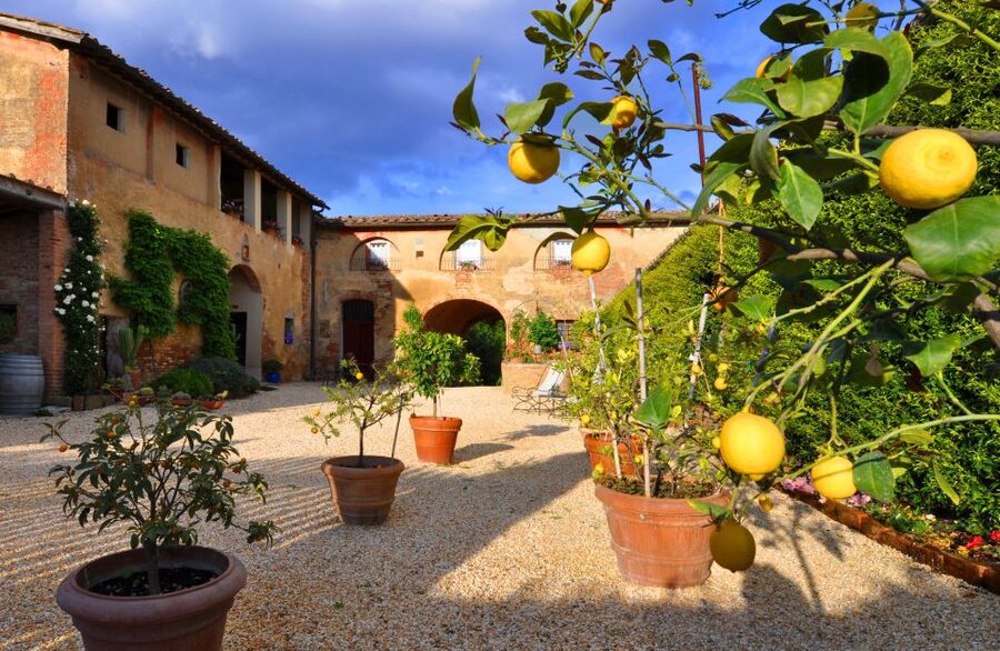 Siena: Educational Wine Tour & Tasting - Who Will Enjoy This Tour Most