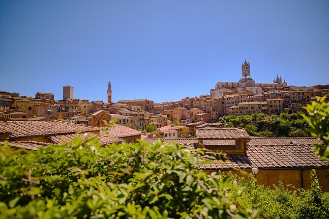 Siena, San Gimignano and Chianti Wines Day Tour from Florence - Why this tour works as a first taste of Tuscany