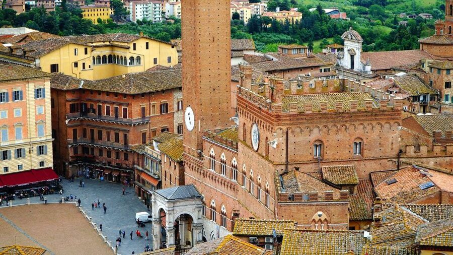 Siena Walking Tour with Cathedral and Crypt & Museum Option - Practical limits you should consider