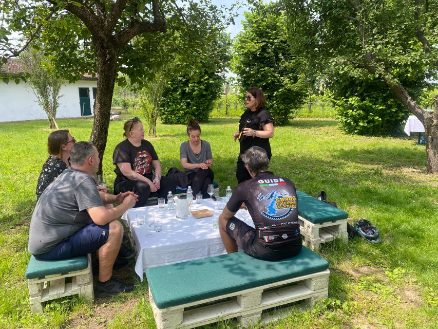 Sirmione: Vineyard Tour with Lugana Wines and Local Tastings - Accessibility, food needs, and timing