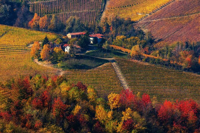 Small-Group Barolo Wine Tasting, Alba & UNESCO Piedmont Hills - Who should book this Piedmont experience?