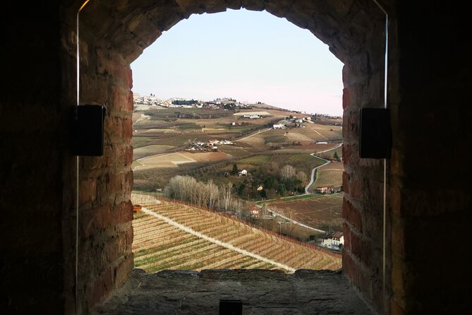 Small-Group Barolo Wine Tasting, Alba & UNESCO Piedmont Hills - Guides, van comfort, and the small-group advantage