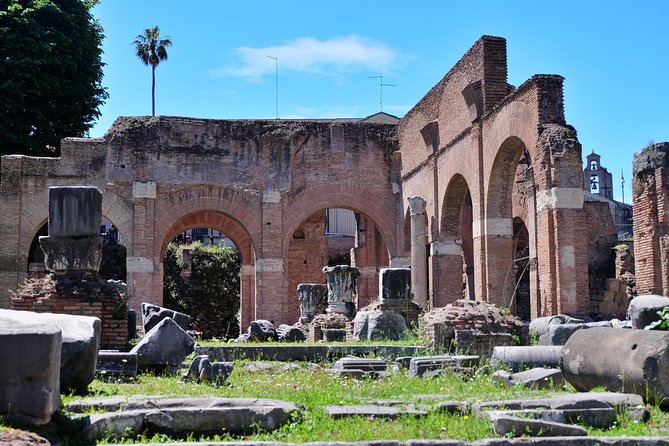 Small Group Colosseum, Roman Forum & Palatine Hill Tour - Important rules and practical preparation