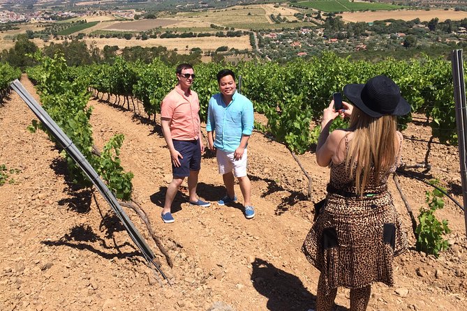 Small-Group Food and Wine Tour from Cagliari - Leaving Cagliari for Parteolla