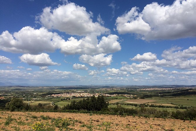 Small-Group Food and Wine Tour from Cagliari - The Sardinian brunch is part of the main event