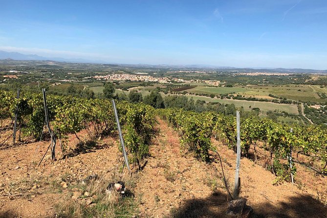 Small-Group Food and Wine Tour from Cagliari - What the guides add to the outing