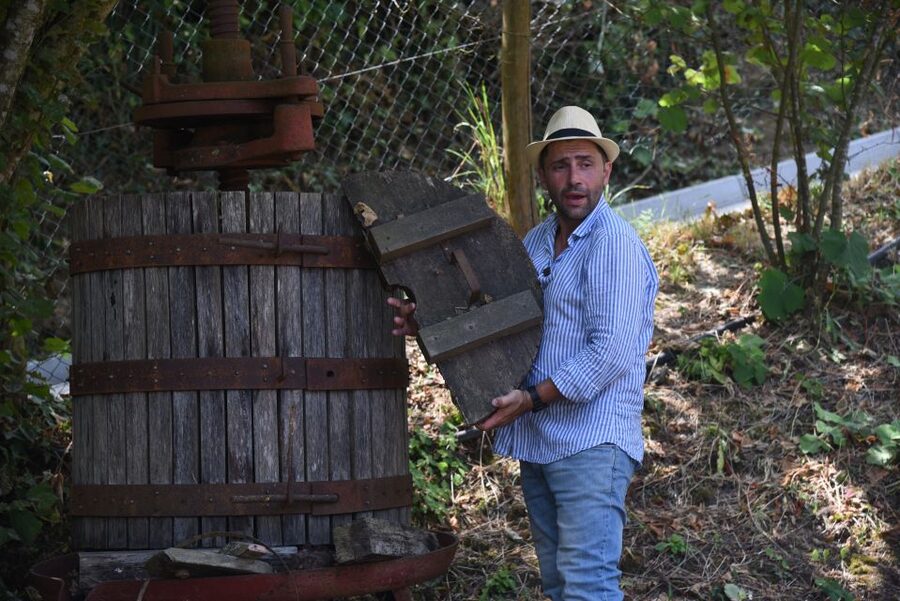Sorrento: Farm Tour with Cheese Tasting & Pizza Making Class - Francesco’s hosting style and the group atmosphere
