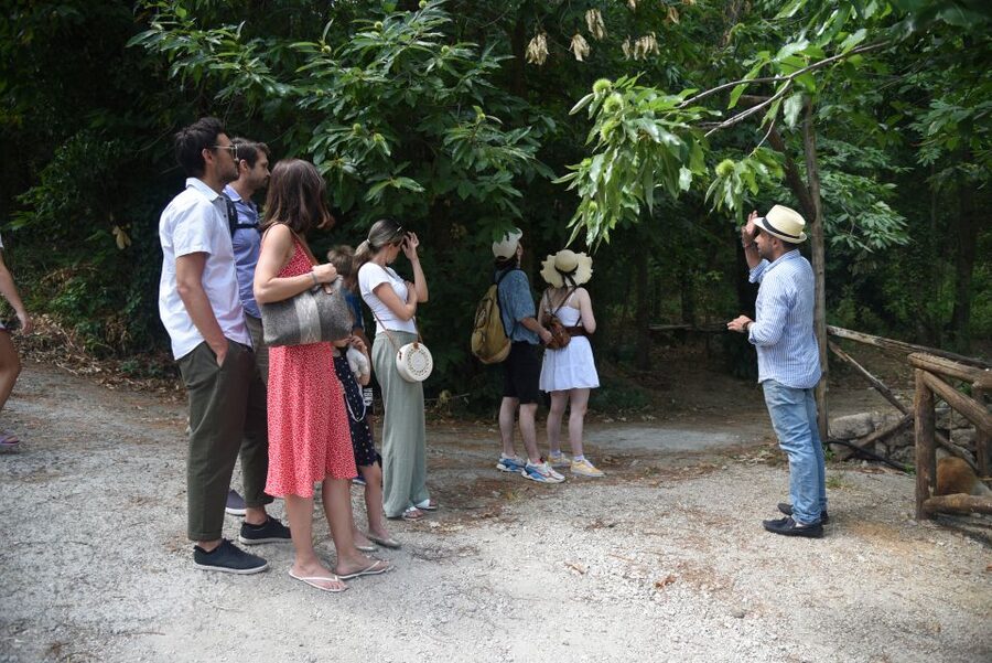 Sorrento: Farm Tour with Cheese Tasting & Pizza Making Class - Why families and couples fit this tour well