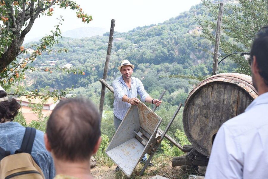Sorrento: Farm Tour with Cheese Tasting & Pizza Making Class - Walking through crops, animals, and family work