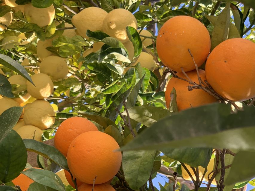 Sorrento: Lemon Garden Tour with Marmalade Tasting - What the optional meal adds