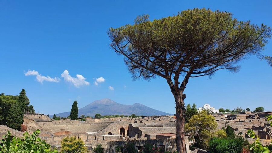 Sorrento: Skip-the-Line Pompeii Express Tour by Train - Two hours among forums, markets, and villas