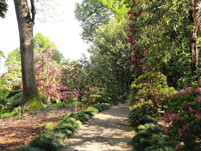 Stresa: 3 Borromean Islands Boat Tour - Who will enjoy this island day most