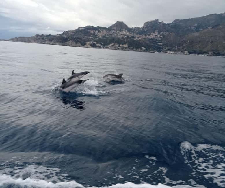 Sunset tour in search of dolphins with aperitif - My verdict: book it for the whole package