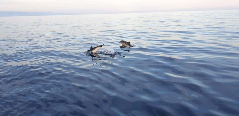 Sunset tour in search of dolphins with aperitif - From Via Vulcano to Giardini Naxos harbor
