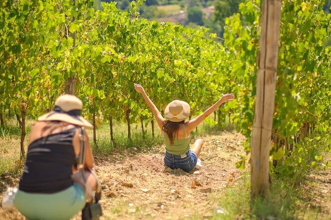 Super Chianti 2 wineries & meat feast @ Dario Cecchini—max 8 pp - Lunch at Antica Macelleria Cecchini