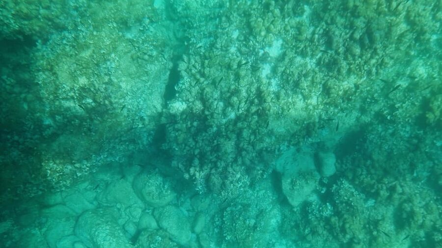 Syracuse: Coast and Sea Caves Full Transparent Boat Tour - Seeing Siracusa through a clear hull