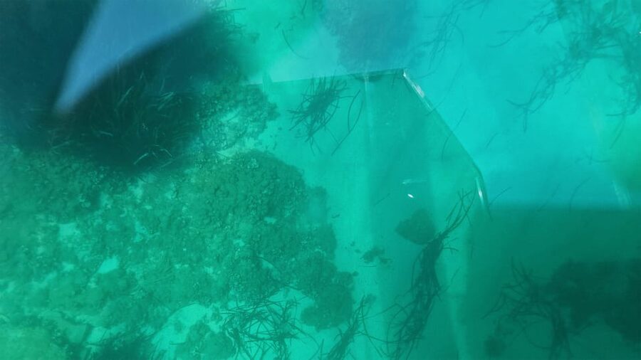 Syracuse: Coast and Sea Caves Full Transparent Boat Tour - Is $47 a fair price?