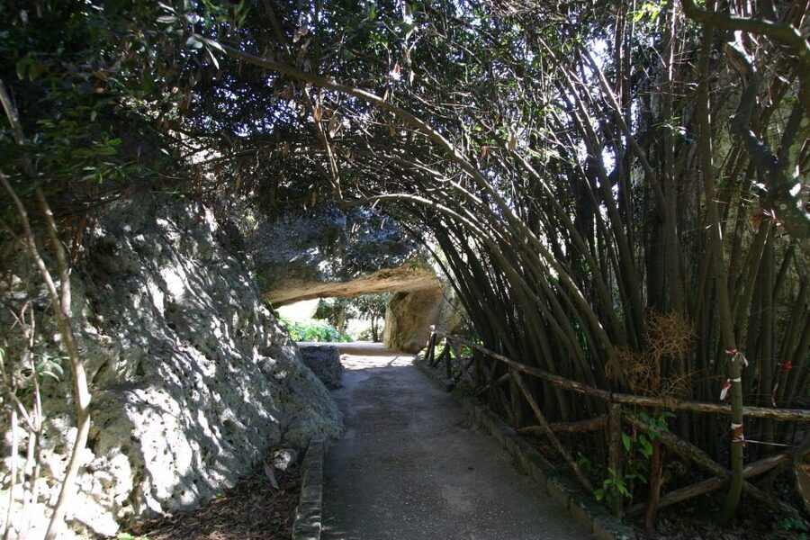 Syracuse: Neapolis Archaeological Park Small Group Tour - Key points to know before you book