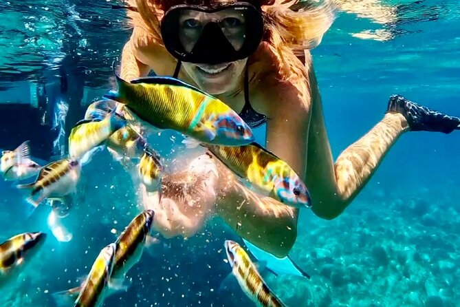 The best Boat Tour from Tropea to CapoVaticano, max 12 passengers - Formicoli Beach and the final snorkeling stop