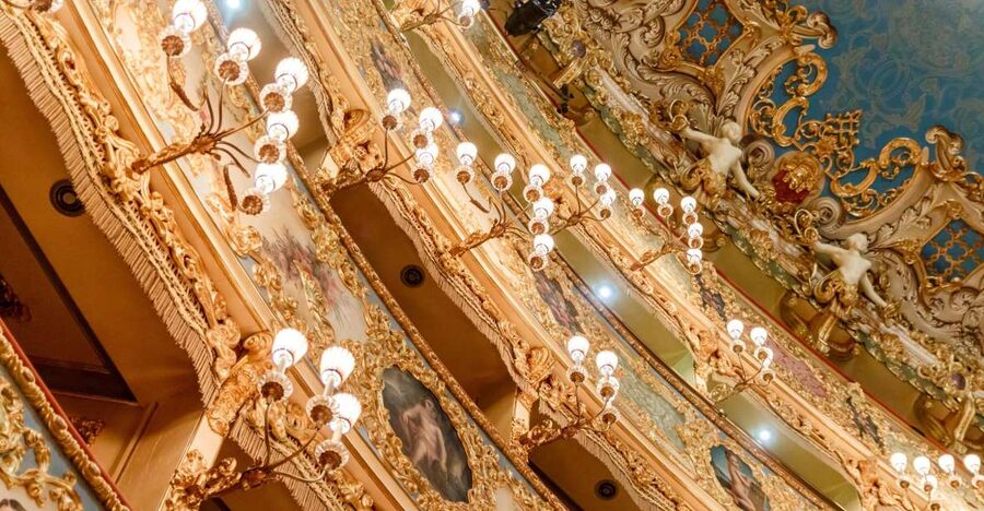 The Majestic Teatro La Fenice: Guided Tour in Venice - Key points before you book