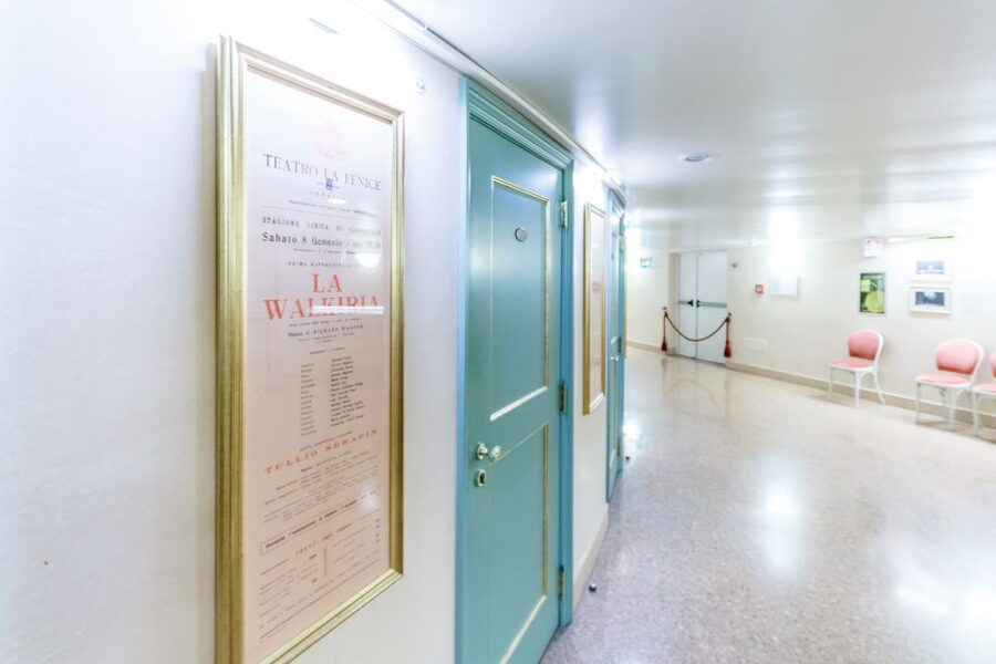 The Majestic Teatro La Fenice: Guided Tour in Venice - What you may not see