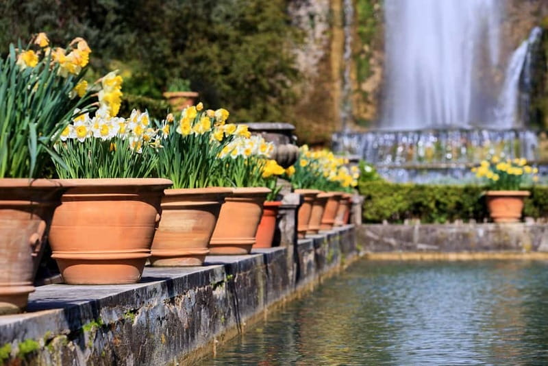 Tivoli: Villa D'Este Entry Ticket and App Audio Guide - Is $23 a fair price?