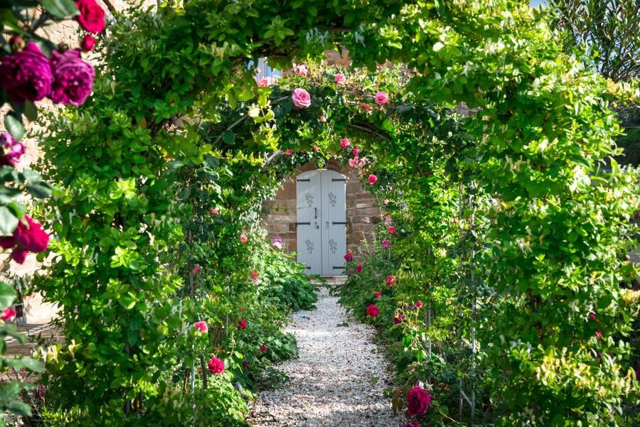 Total Immersion Wine Tour in Chianti - What the two-hour visit actually includes