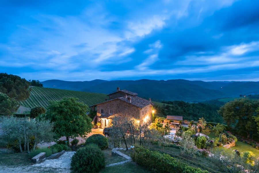 Total Immersion Wine Tour in Chianti - Inside the cellar, from grape selection to aging
