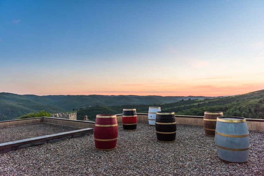 Total Immersion Wine Tour in Chianti - The mini-course that helps beginners taste wine