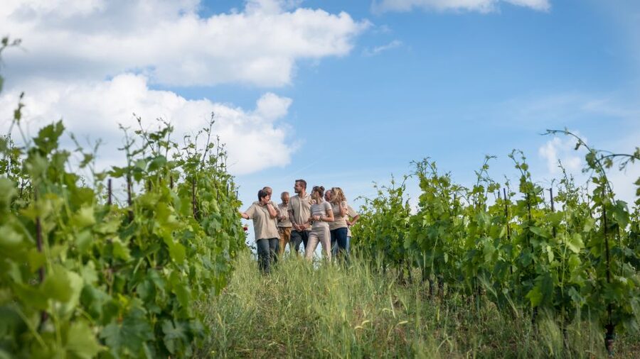 Total Immersion Wine Tour in Chianti - Weather, comfort, and accessibility