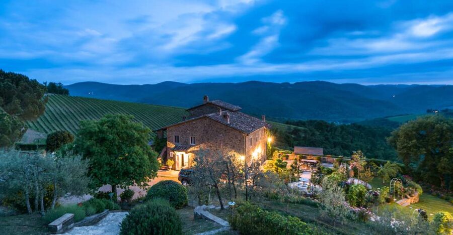 Total Immersion Wine Tour in Chianti - The vineyard visit and organic farming