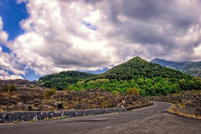 Tour Etna & Wine Tasting - Who should book this Etna experience?