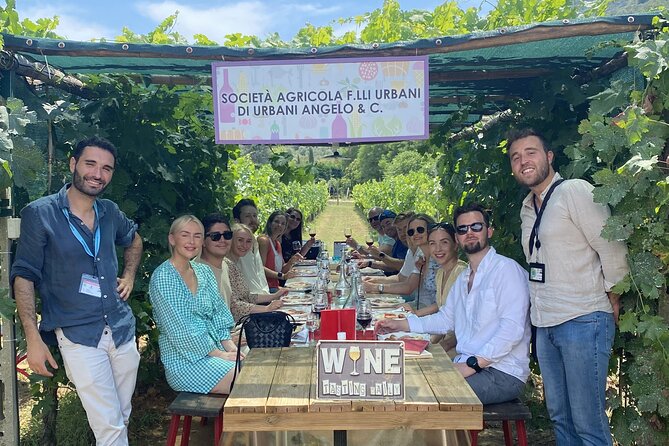 Tuscan Wine Tour in Lucca by van - Timing, comfort, and practical planning