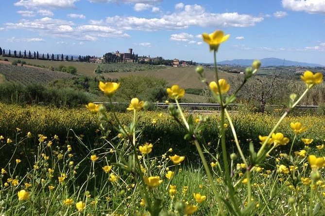 Tuscany Bike Tours Through the Chianti Hills with Wine Tasting - Lunch in a Tuscan villa or castle setting