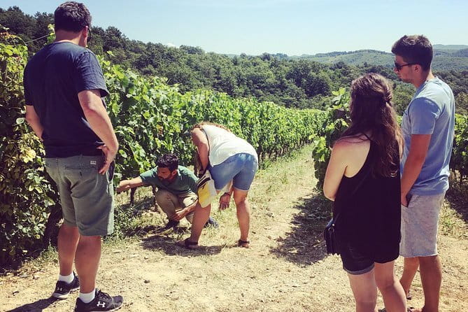 Tuscany Vespa Tours Through the Hills of Chianti - My take on the six-hour experience