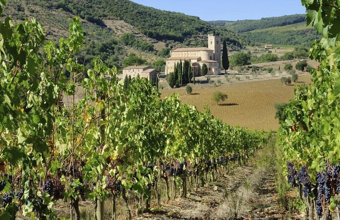 Val d'Orcia Brunello Wine Tour with Montalcino and Montepulciano - Key Points Before You Book