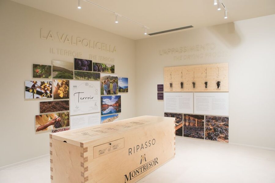 Verona: Montresor Winery Visit with Wine Tasting and Snacks - The Museum Connects Verona and the Montresor Family