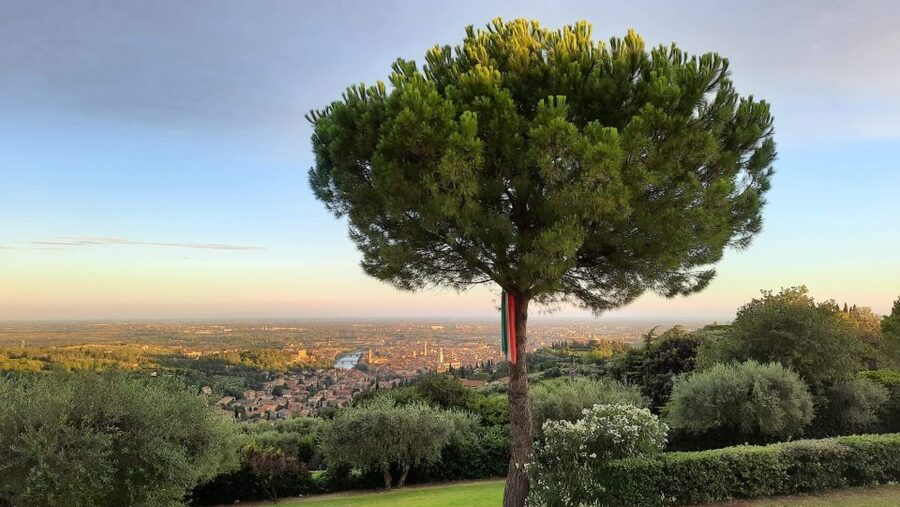 Verona: Wine Tasting with Snacks and Panoramic Views - Timing, cancellations, and value