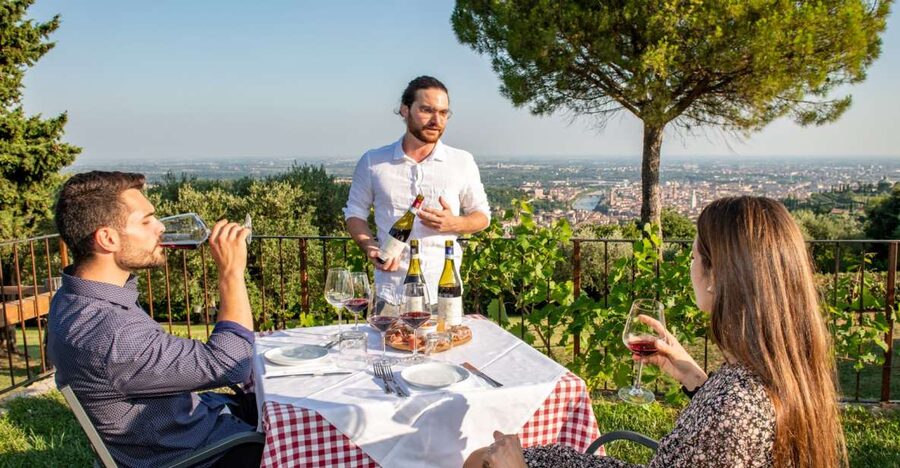 Verona: Wine Tasting with Snacks and Panoramic Views - A small organic farm above Verona