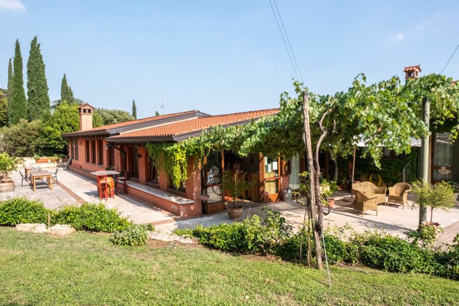Verona: Wine Tasting with Snacks and Panoramic Views - The terrace view over Verona