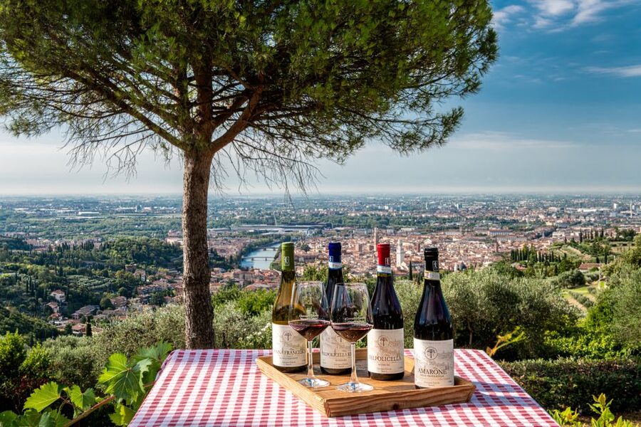 Verona: Wine Tasting with Snacks and Panoramic Views - Staying after the formal tasting