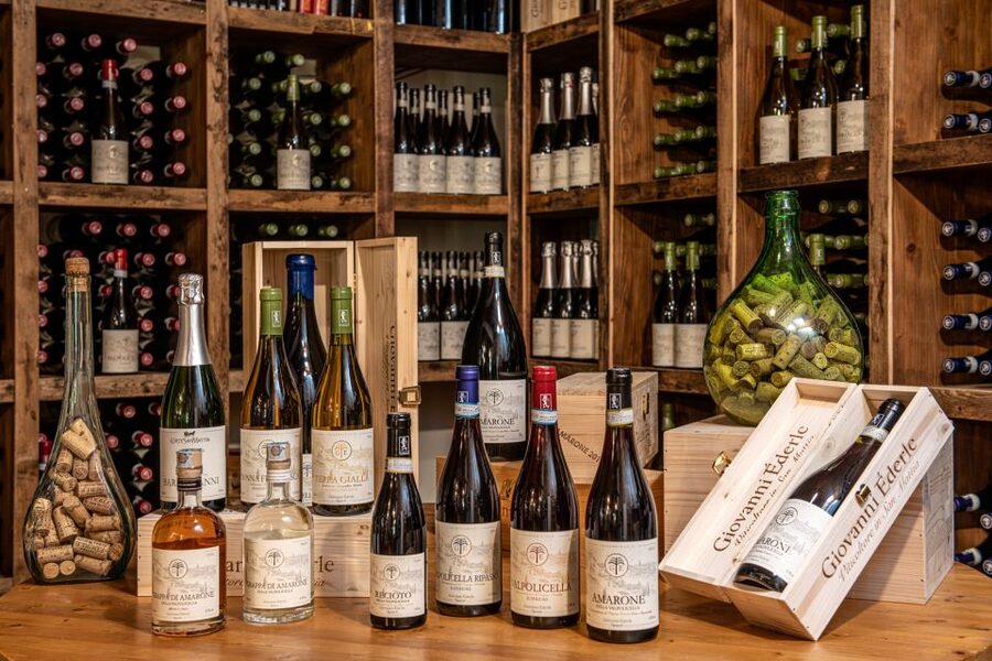 Verona: Wine Tasting with Snacks and Panoramic Views - Who will enjoy this Verona wine experience