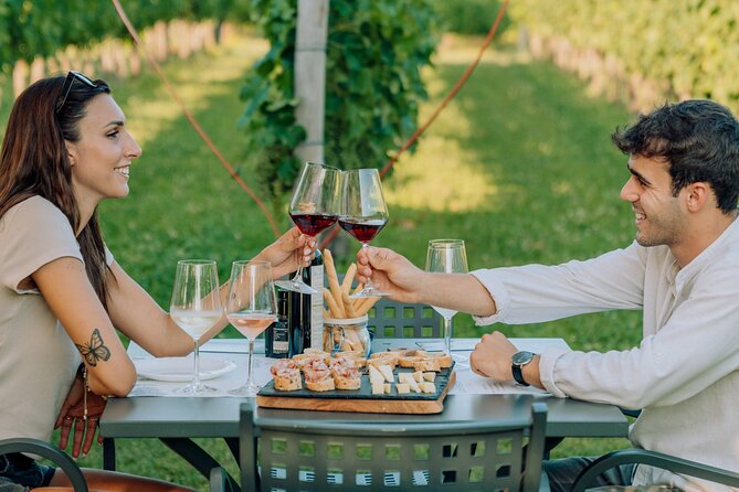 Wine and Food Tasting in the Vineyards in Lazise - A vineyard tasting 2 kilometers from Lazise